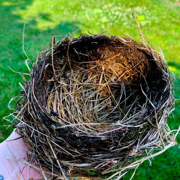 Accessories - 🪺Welcome to my closet🪺